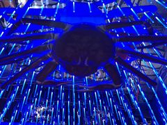 -蟹之国·精品蟹料理(极地店)