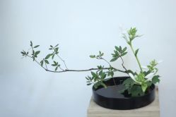 -今日陶艺(富力广场店)