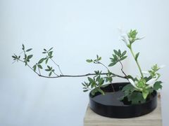 -今日陶艺(富力广场店)