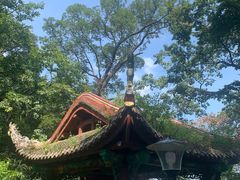 -黔灵山公园