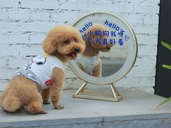 -小意思咖啡店(草桥店)