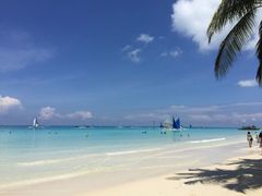 白沙滩-白沙滩