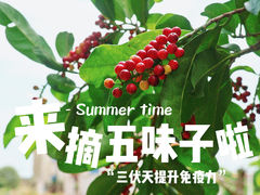 -江门古劳水乡旅游区
