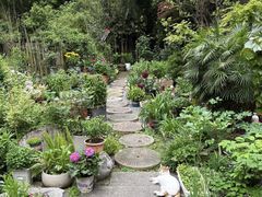 -谷咖啡·鲜花绿植花园餐厅