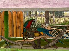 -北京野生动物园