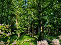 -国家植物园南园