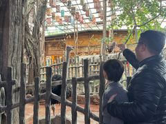 -长鹿旅游休博园