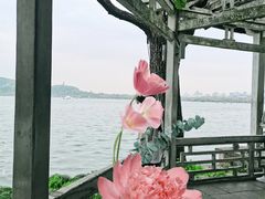-西湖天地