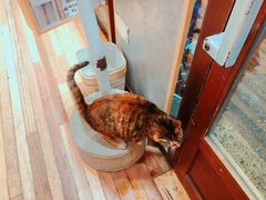 -猫的天空之城概念书店(杭州南宋御街店)