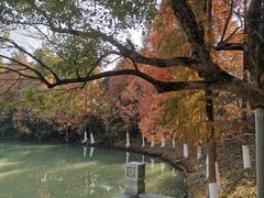 -八大山人梅湖景区