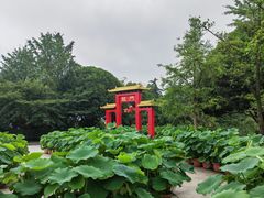 -南山植物园