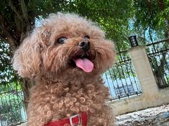 -几米咖啡(龙洲湾花园店)