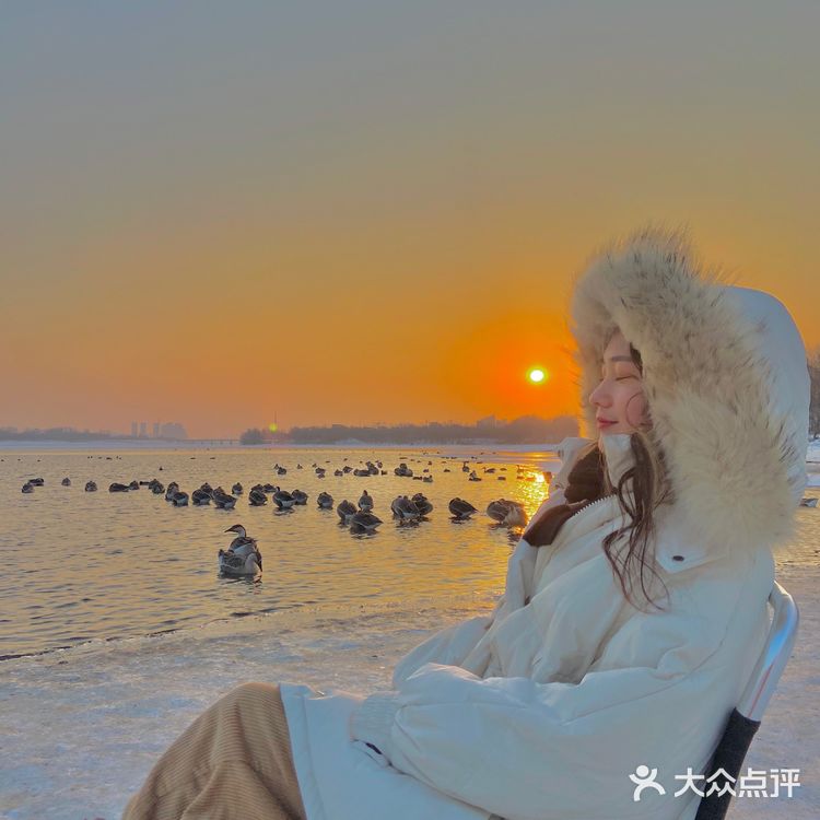 沈阳鸟岛｜🈚️门票🎫下面👇详细位置