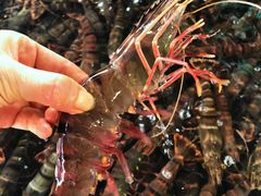 -南沙十九涌渔人码头-南门