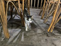 -傣泐金湾餐厅
