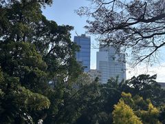 -九龙公园
