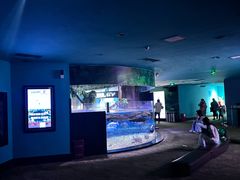 -成都浩海立方海洋公园