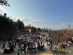 -枫香湖儿童公园