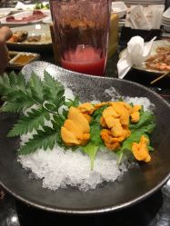 -千叶KEER(西铁营万达广场店)
