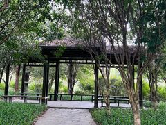 -贡湖湾湿地公园