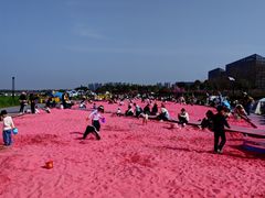 -春花秋色城市公园