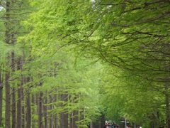 -上海植物园-4号门售票处