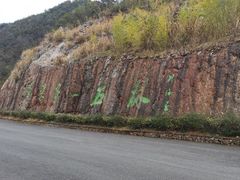 -千岛湖石林