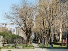 -木塔寺遗址生态公园
