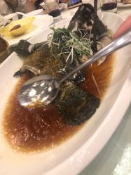 -宝亨达国际大酒店·宴会厅