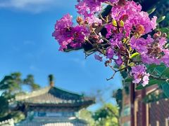-北海公园