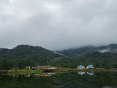 -海南热带雨林国家公园吊罗山景区