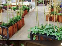 -猫姑娘大盘鸡(商城路店)