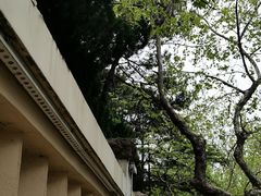 -青岛德国总督楼旧址博物馆