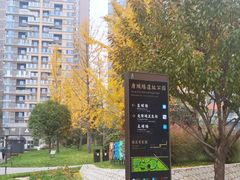 -唐城墙遗址公园