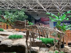 -中国第四纪冰川遗迹陈列馆