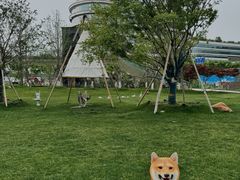 -诺亚财富中心