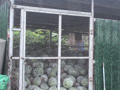 -红旗山庄(圭峰山店)