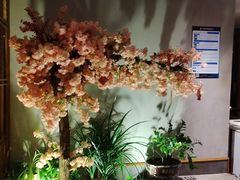 -合和大唐(江夏纸坊店)