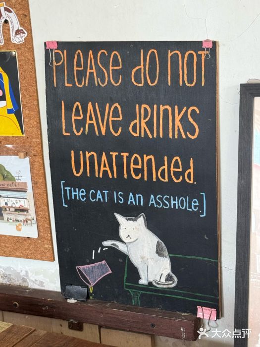 海边的猫和咖啡馆图片