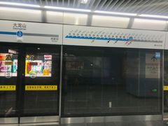 -大龙山(地铁站)