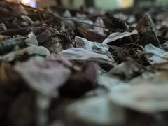 -栖露营camping·天幕烧烤·团建拓展·采摘营地