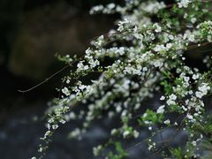 -中国茶叶博物馆(双峰馆区)
