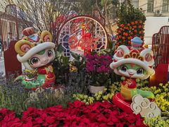 -越秀西湖花市(广州城市广场花卉店)