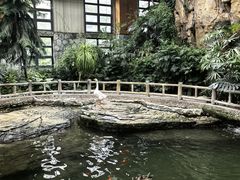 -南宫五洲植物乐园