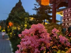 -有喜胶东小馆(超极合生汇太申祥和店)