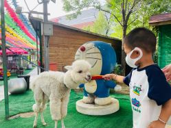 -萌宠亲子动物乐园(槐房万达店)