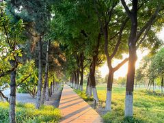 -汉长安城未央宫国家考古遗址公园