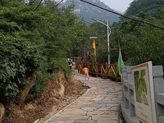 -大岭沟猕猴桃谷风景区
