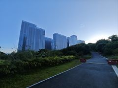 -玉树公园