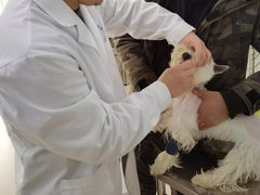 -畜牧兽医站(共江路店)